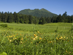 尾瀬2010夏_20100721_080012