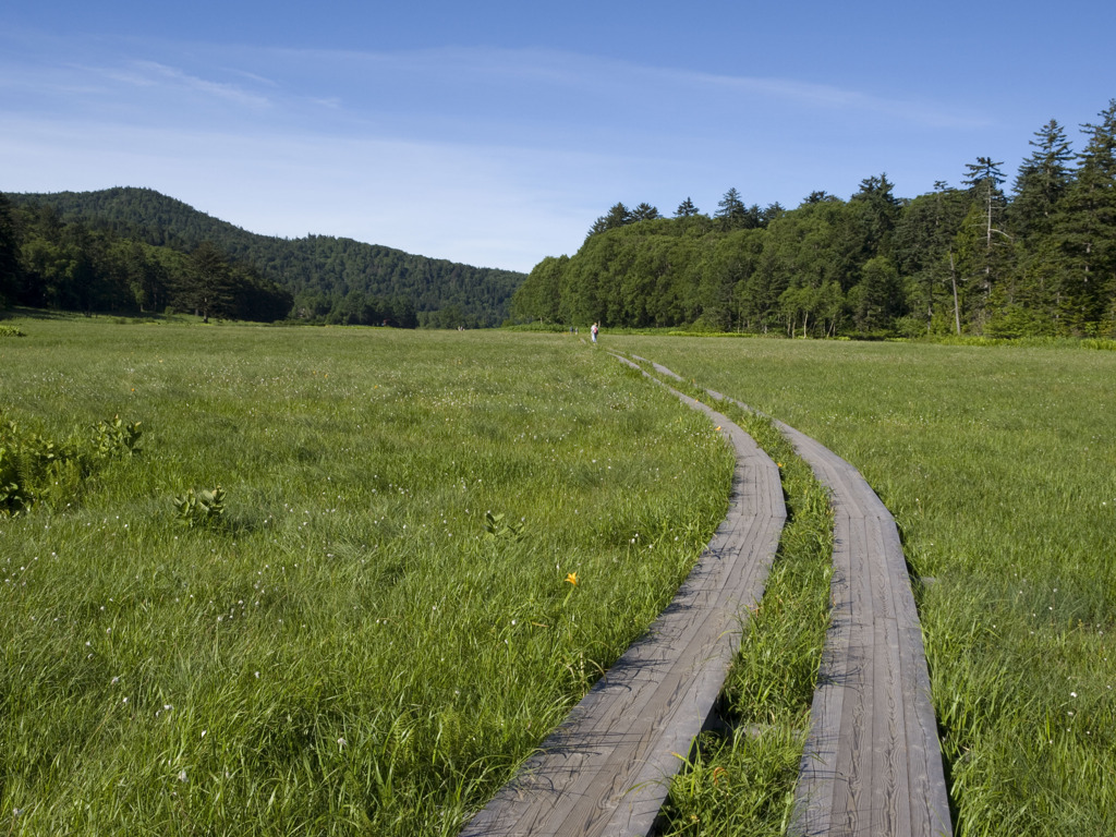 尾瀬2010夏_20100721_073822
