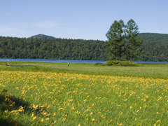 尾瀬2010夏_20100721_080654