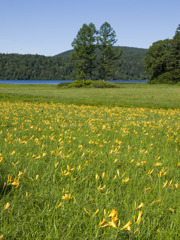 尾瀬2010夏_20100721_080816