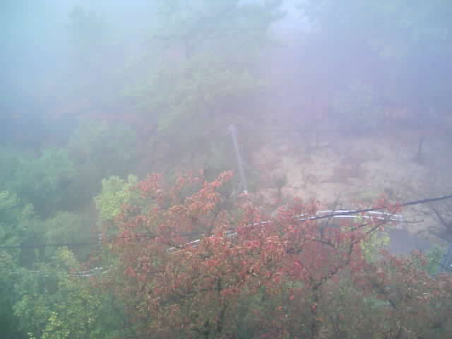 20091101_千光寺公園