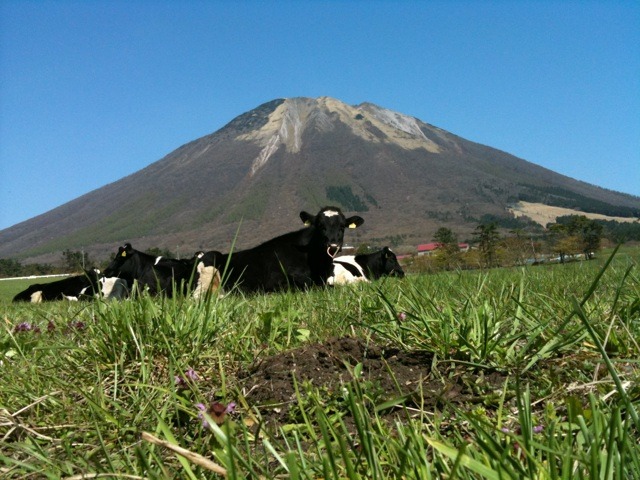 20100502_大山まきばみるくの里