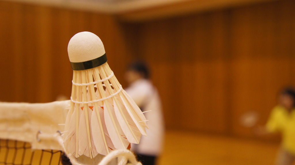 2010全体会