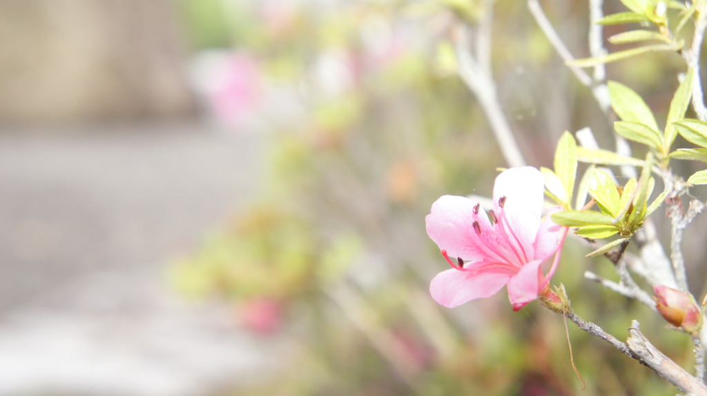 20100623_ふれあい公園