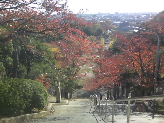 20071118_姫路秋季大会