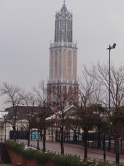 枯れた木が並ぶ街