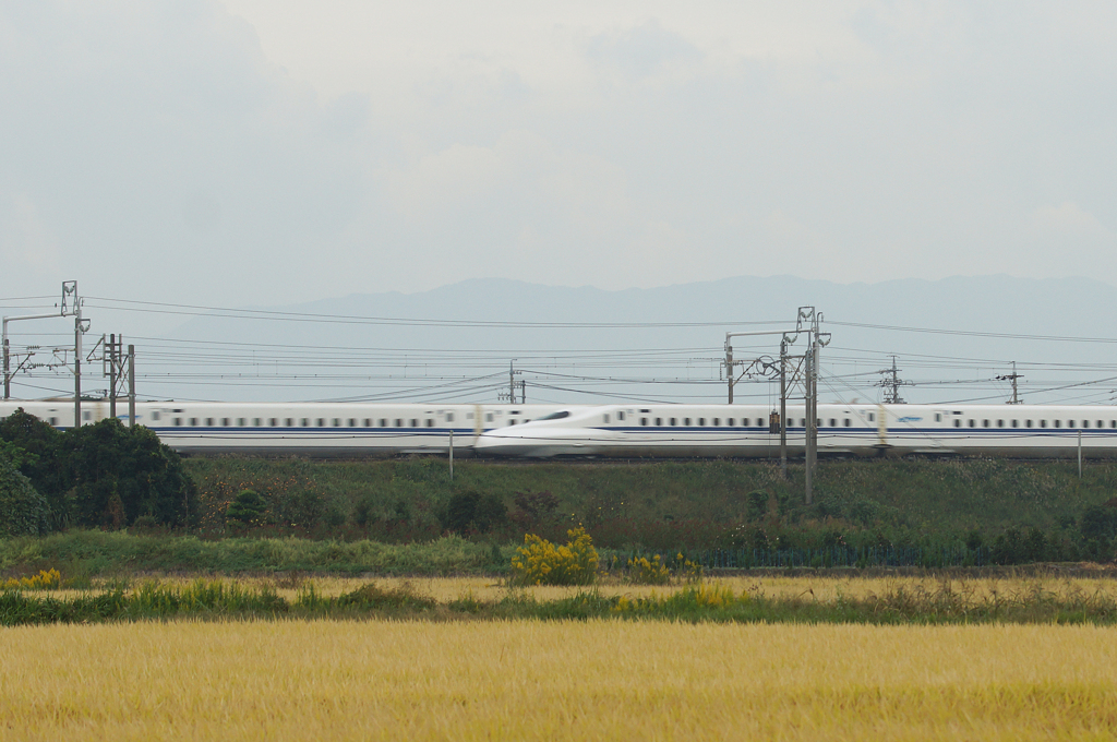 5209tm