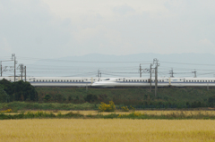 5209tm