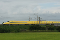 9849t
