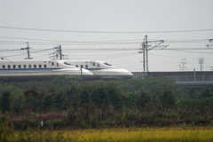 6137m
