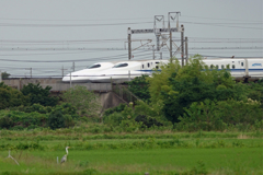 7110tm