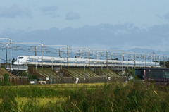 8451tm