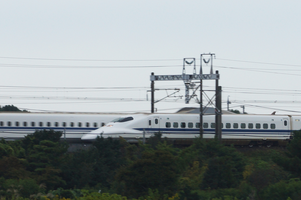 4017tm