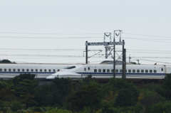 4017tm