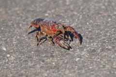 9670