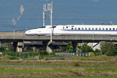 8664tm