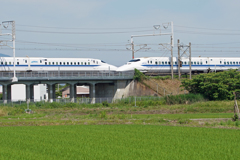 1125m