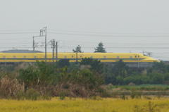 0376tm　ドクターイエロー