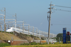 9828tm 気になる電柱