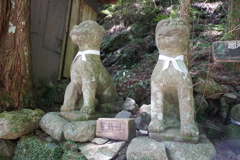 3642 かわいい狛犬