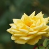 2005