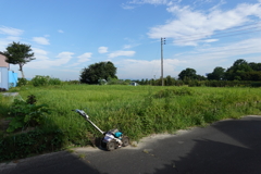 3429 草刈前