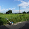 3429 草刈前