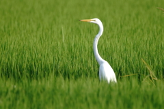 3530