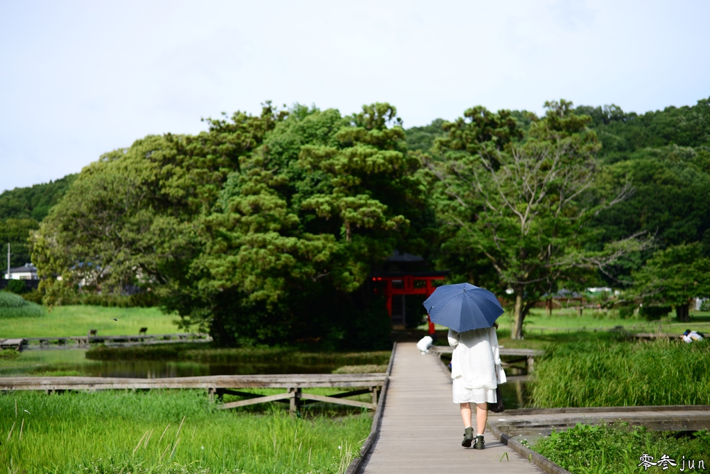 湿地帯のなかの弁天様