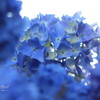 IMG_9945-2