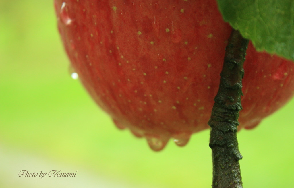 IMG_3373-1-2