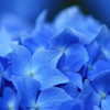 IMG_9994-1