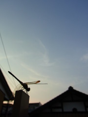 夏のおわり　秋のはじまり