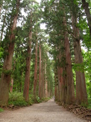 神社へ続く道
