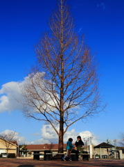 SｋｙTree？(^^)