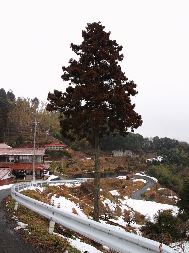 ヘアピンカーブ(^^)