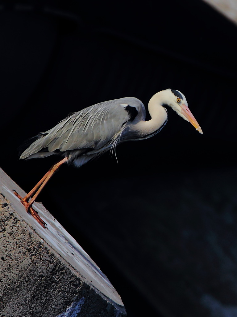 お、落ちる！！！(^^)