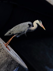 お、落ちる！！！(^^)