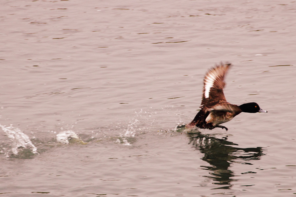 僕も帰らなきゃ(^^)