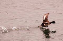 僕も帰らなきゃ(^^)