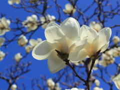 ♪会いたくて～会いたくて～(^^)