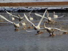 よーい！どん！！