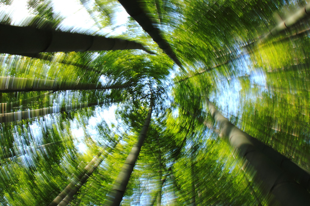 グルグルグル(^^)