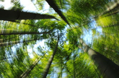 グルグルグル(^^)