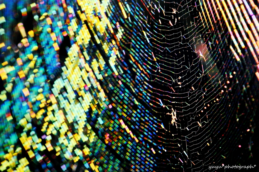 デジタルスパイダー