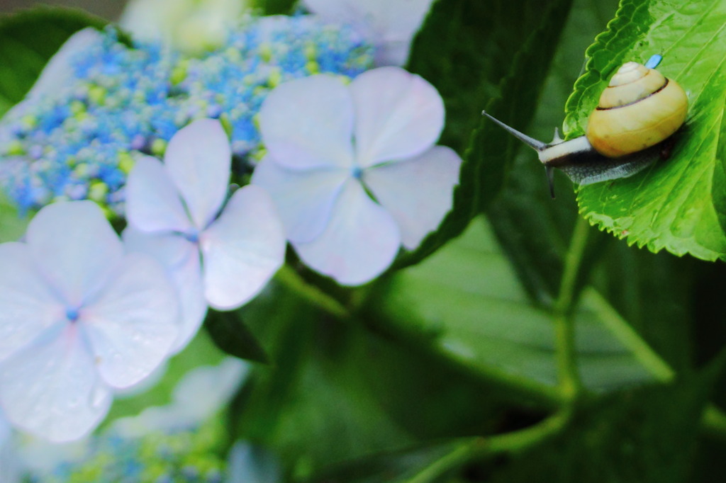 ♪つのだせ！やりだせ！(^^)