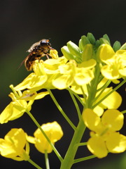 BEEBEEBEE(^^)