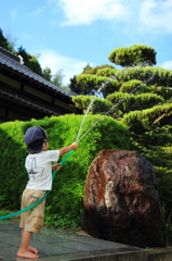 夕方の打ち水(^^)
