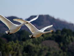 デート（*^_^*）