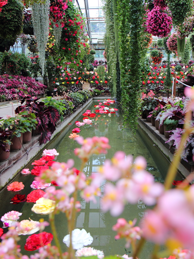 天国ってこんなのかなぁ(^^)